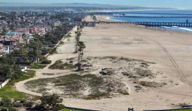Surfrider launches effort to restore native dunes in Seal Beach – Orange County Register