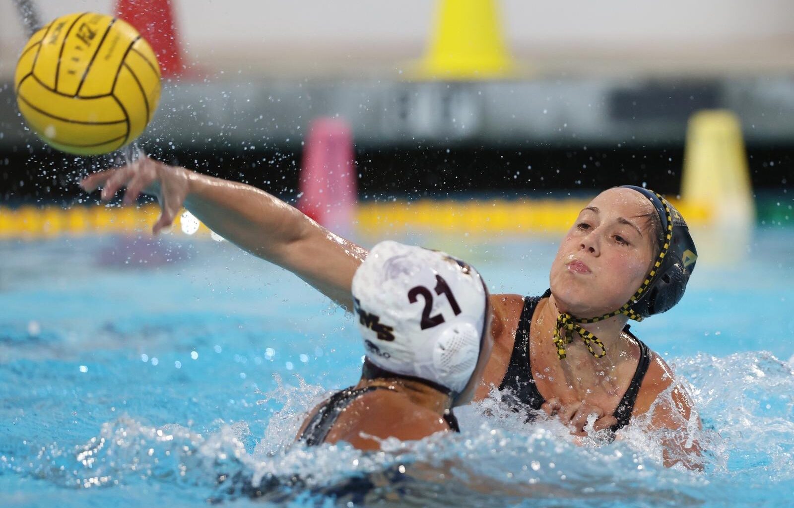 Stanford University Logo