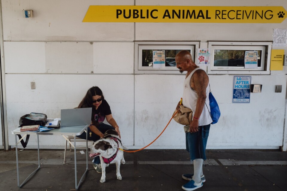 a man has a dog on a leash and is talking to a woman sitting down at a table with a laptop computer, and a sign above them reads "public animal receiving"