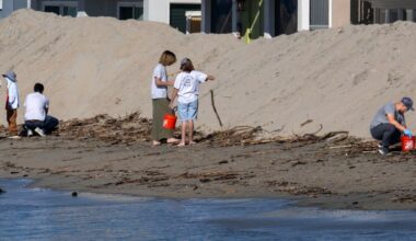 Long Beach volunteers participate in citywide service projects for MLK Jr. Day – Press Telegram