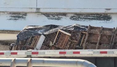 Load of bees spilled during crash on I-35 likely headed to California, expert says