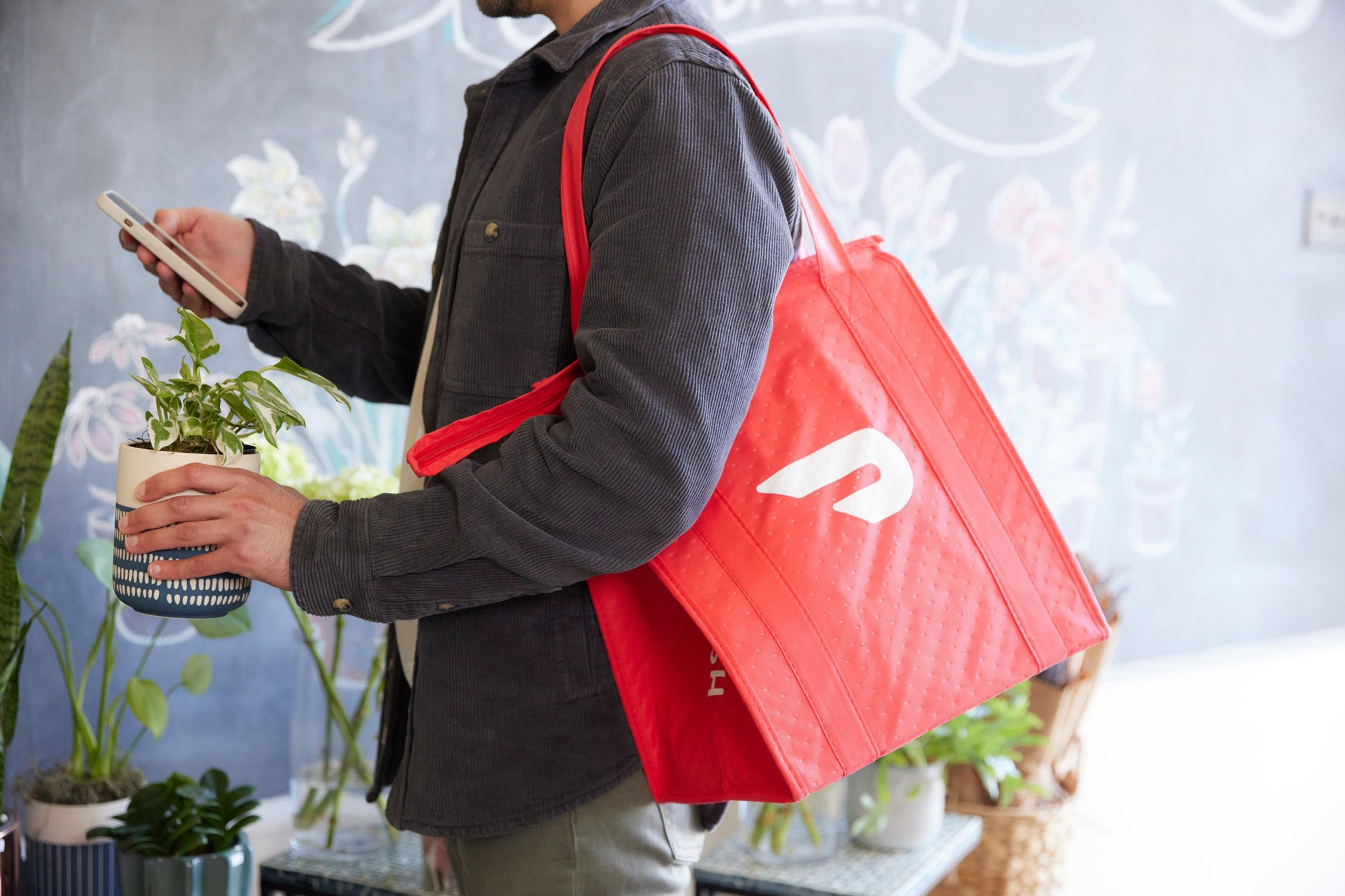 A person carrying a large red insulated delivery bag on their back holds a small potted plant in one hand and a smartphone in the other.