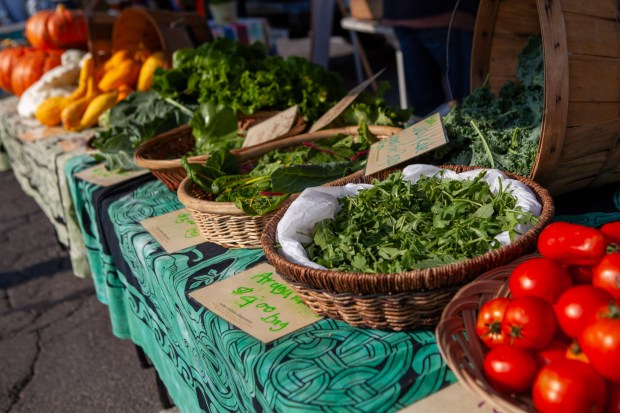 Fresh produce, including leafy greens, tomatoes, and squash, is displayed for sale at the Ukiah Farmers Market on August 8, 2015. (Chris Pugh Ukiah Daily Journal)