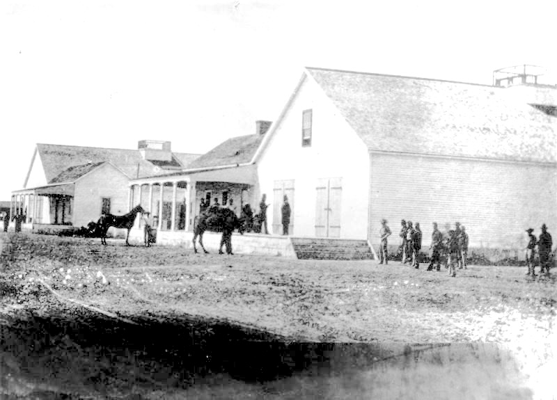 A camel at the Fort Drum Barracks in Wilmington, military...