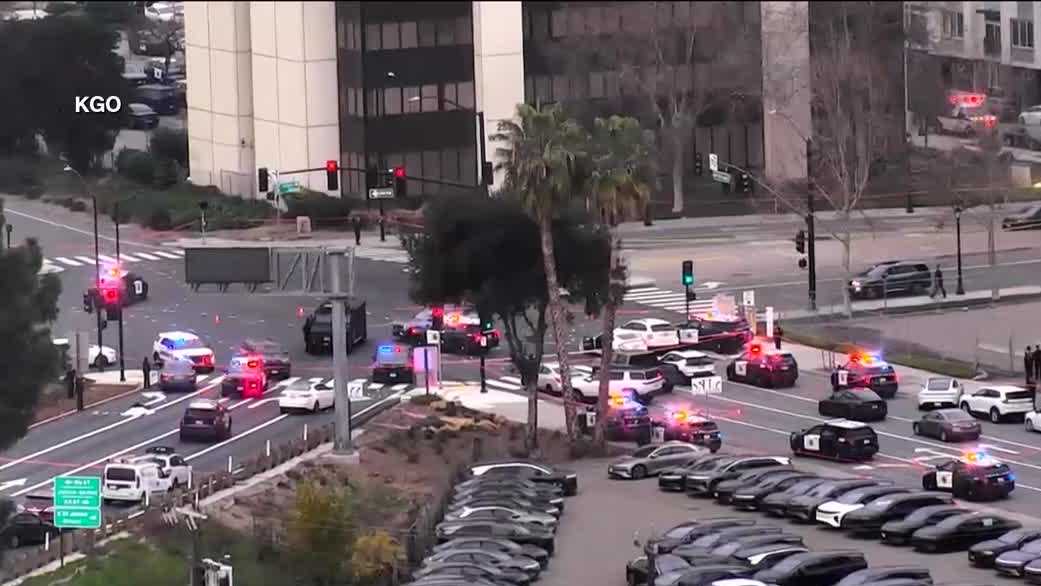 Violent carjacking, robbery spree began in Sacramento before San Jose officer shot, suspect killed