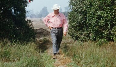 Walt Disney was ‘scared’ Disneyland would never be ready for opening day in 1955 – Orange County Register