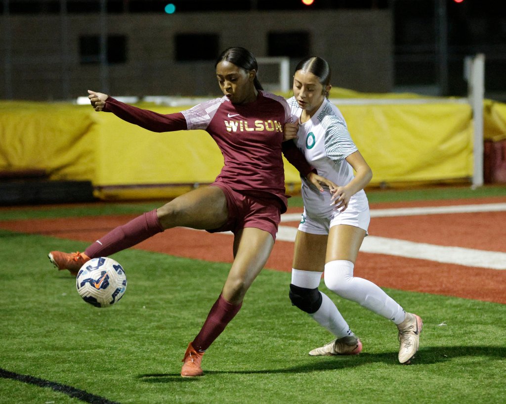 Wilson girls soccer breaks through for 2 goals to beat Long Beach Poly – Press Telegram