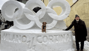 Cal professor to carry Olympic torch with his service dog