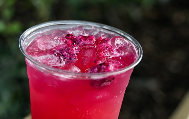 Guava Dragon Fruit Sparkler made with lemonade, sparkling mineral water, guava and dragon fruit syrups and a frozen dragon fruit garnish available at Bamboo Blessings during Disney California Adventure's Lunar New Year celebration in Anaheim, CA, on Friday, January 23, 2026. They are celebrating The Year of the Horse January 23 through February 22, 2026. (Photo by Jeff Gritchen, Orange County Register/SCNG)