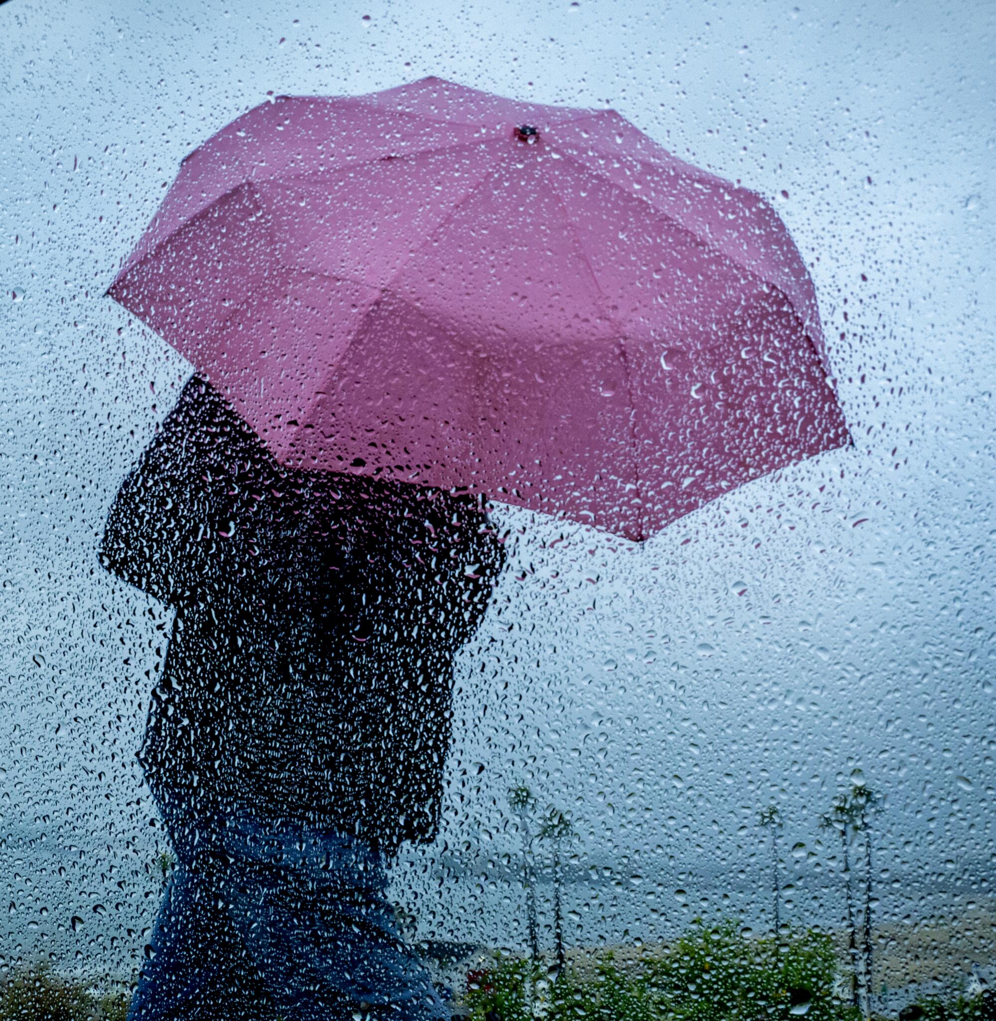 A person holding a pink umbrella