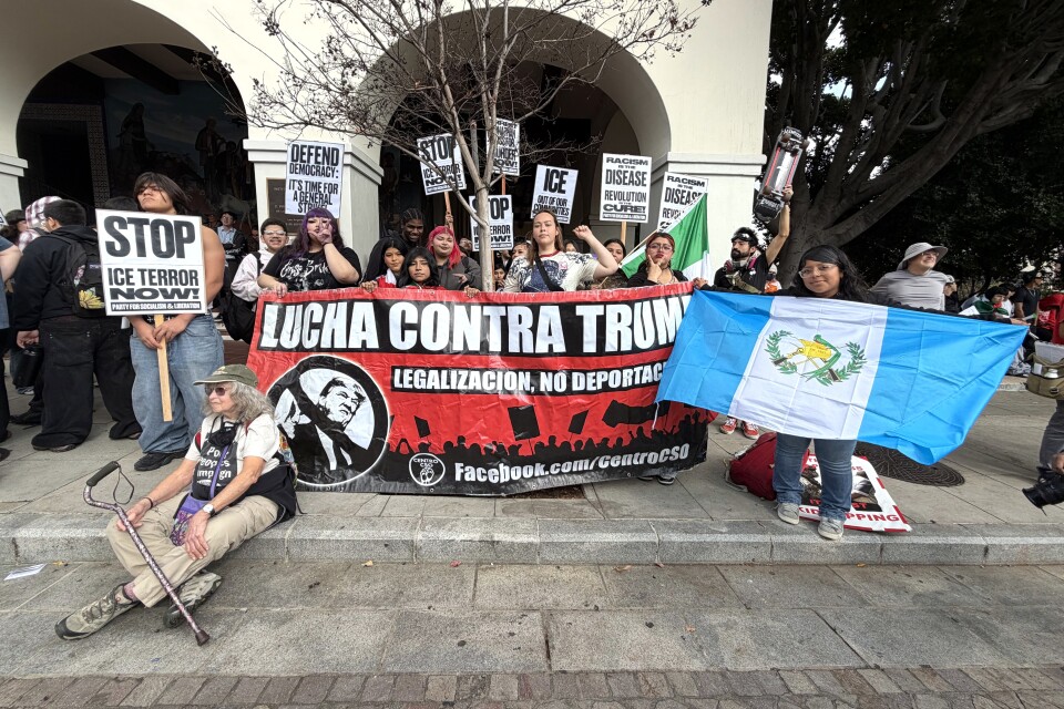 A group of protestors stand together holding signs in opposition to deportation, as well as a Mexican and Guatemalan flag.