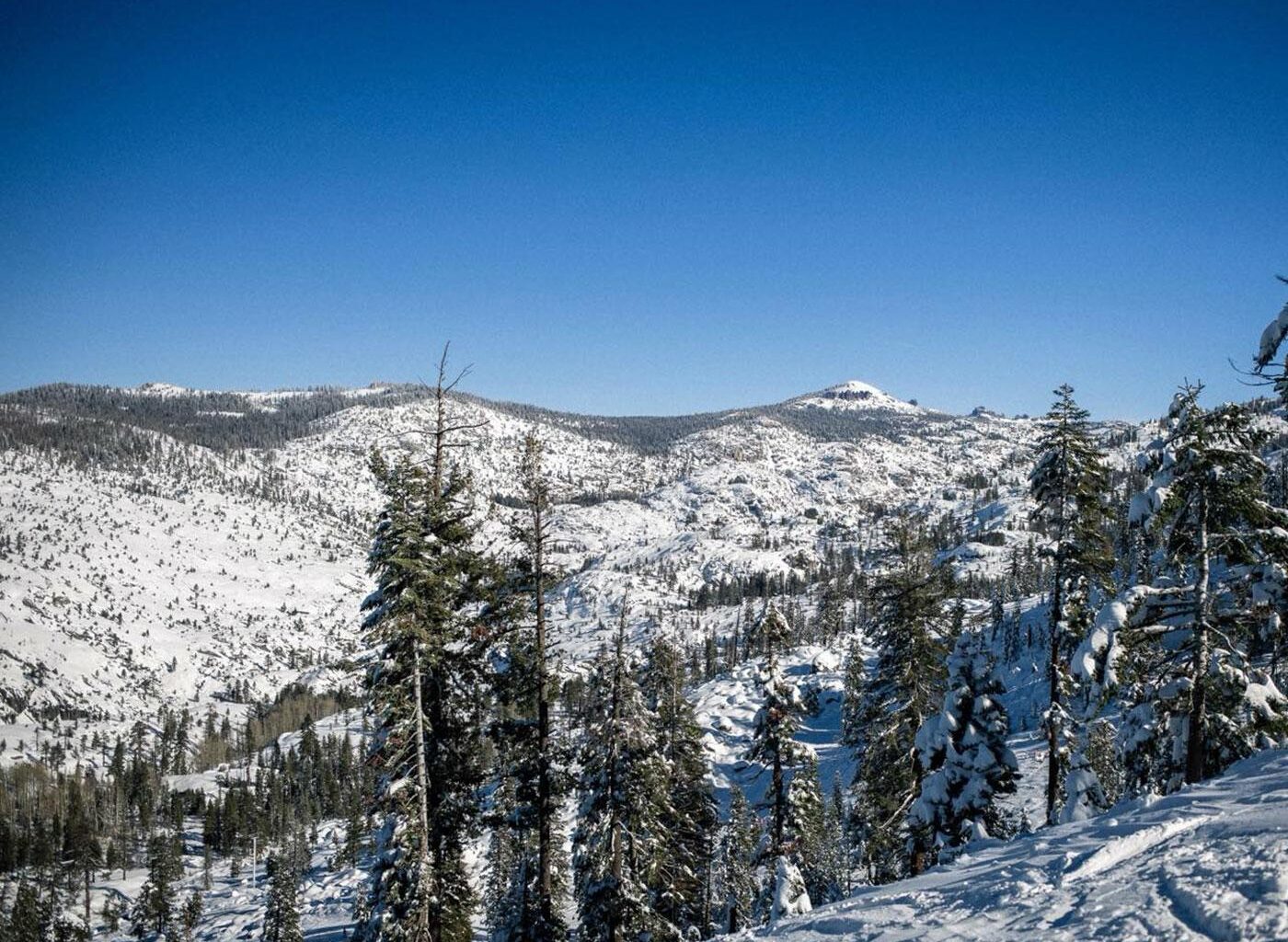 Going Further Afield: Dodge Ridge, California