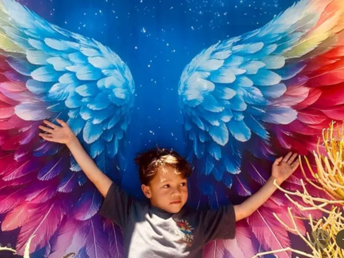 A GoFundMe page created for the family describes Hudson as a ‘vibrant’ and ‘deeply loved’ child who ‘loved all things science, and his energy was contagious’