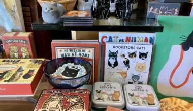 What to Do in SF and SJ's Historic Japantowns