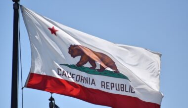 California state flag