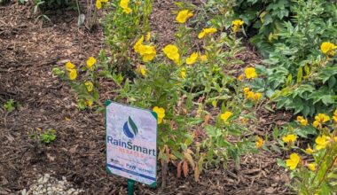 Oakland County RainSmart program expected to keep millions of gallons of water out of sewer - here's how