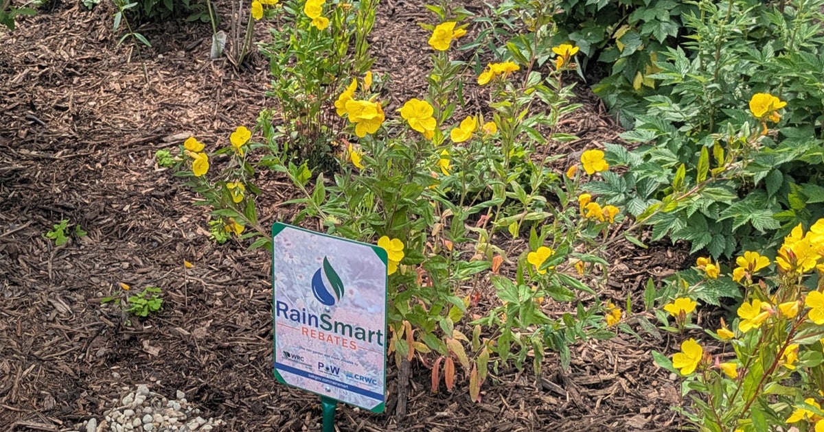 Oakland County RainSmart program expected to keep millions of gallons of water out of sewer - here's how