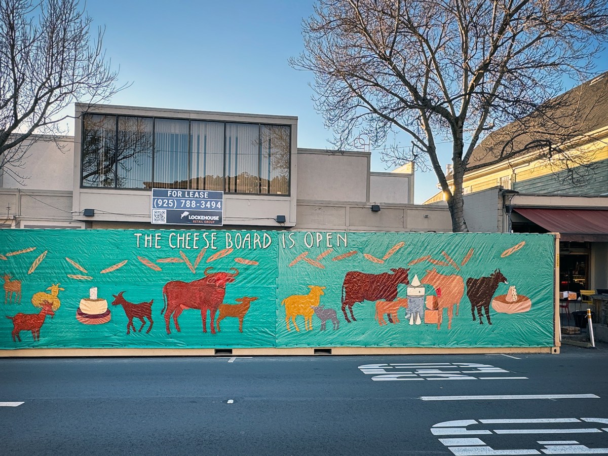 Everything you need to know about the Cheese Board expansion