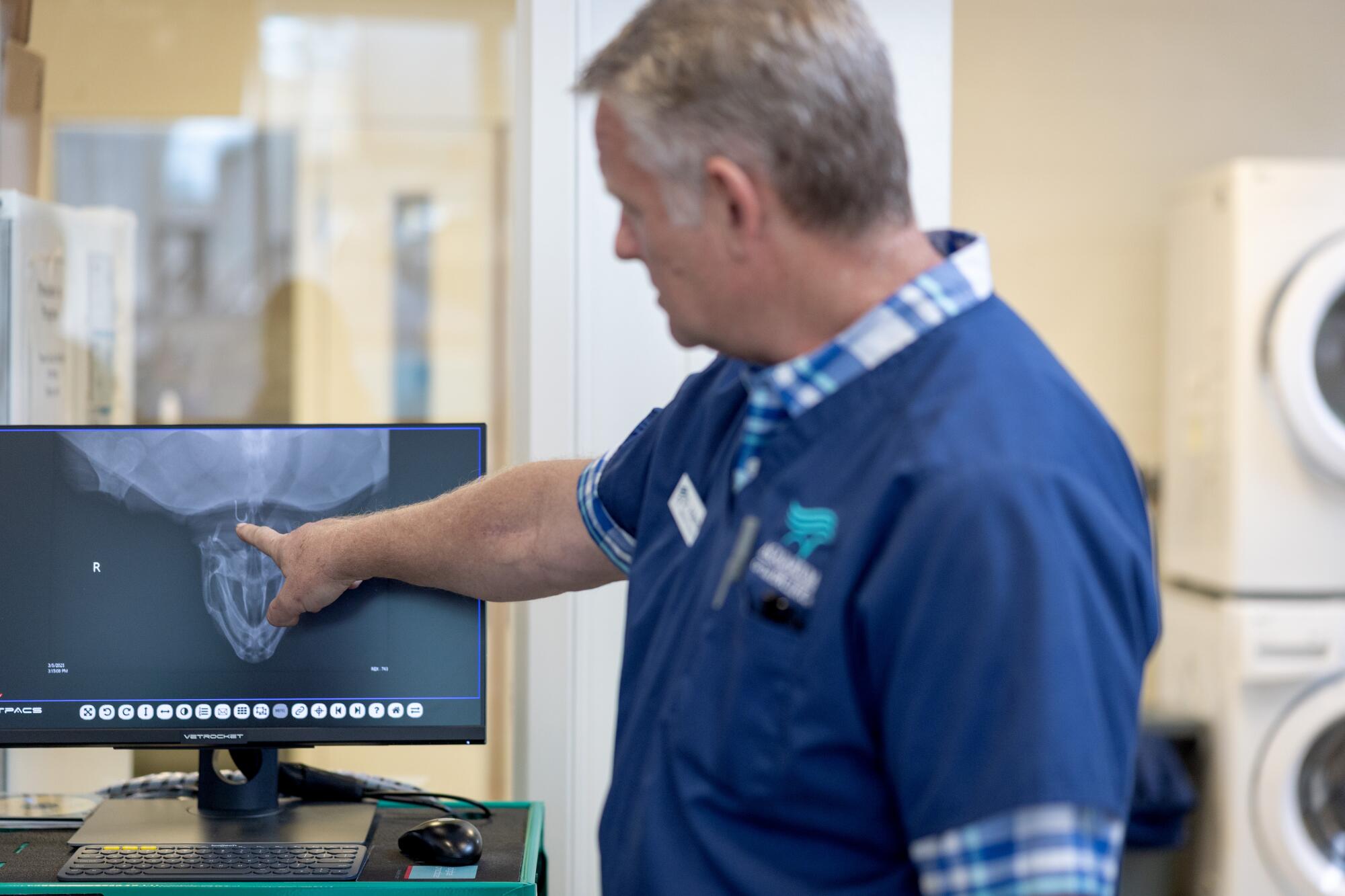 Dr. Lance Adams points out a hook in an x ray of a rescued sea turtle.
