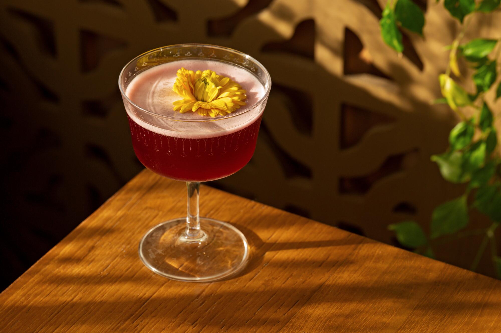 Rebelde cocktail (tequila blanco, hibiscus, verjus, cinnamon, bitters) at Broken Spanish Comedor.