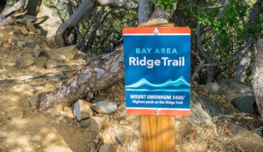 Bay Area Ridge Trail