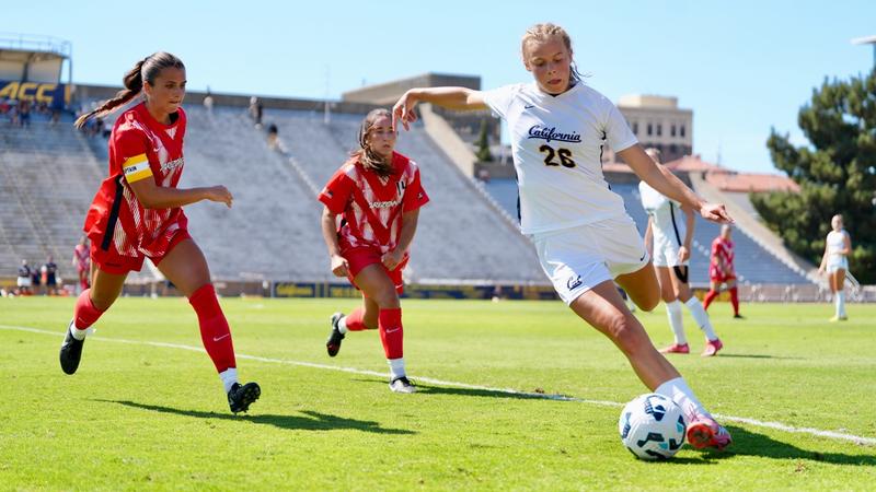 6 Bears Named All-ACC Academic