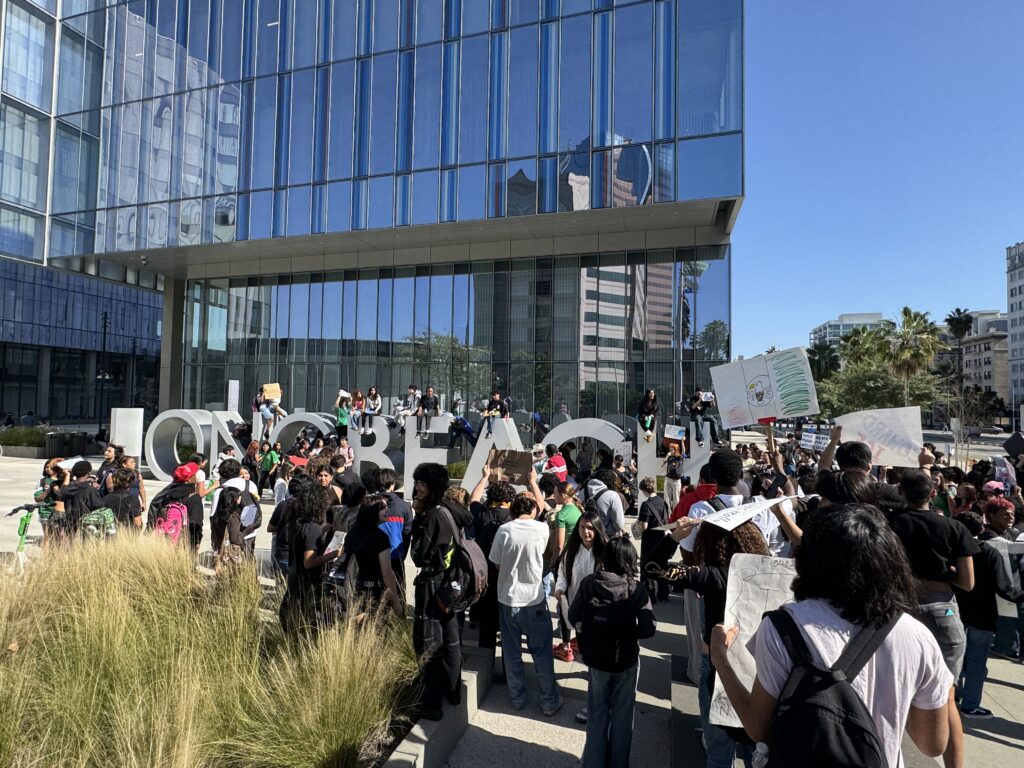 Trump Supporter Targeted With Thrown Items During ICE Protest in Long Beach