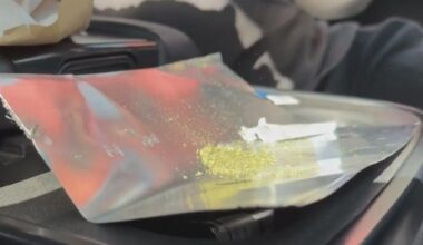 California Supreme Court rules loose marijuana in car is not grounds for search