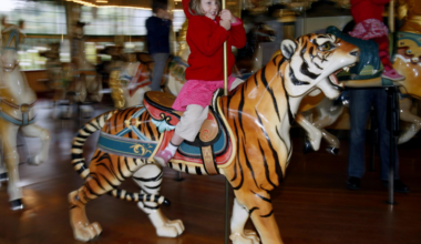 The San Francisco Standard