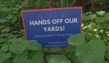 California's Zone Zero landscaping law limiting brush around homes sparks debate and concern amongst LA residents