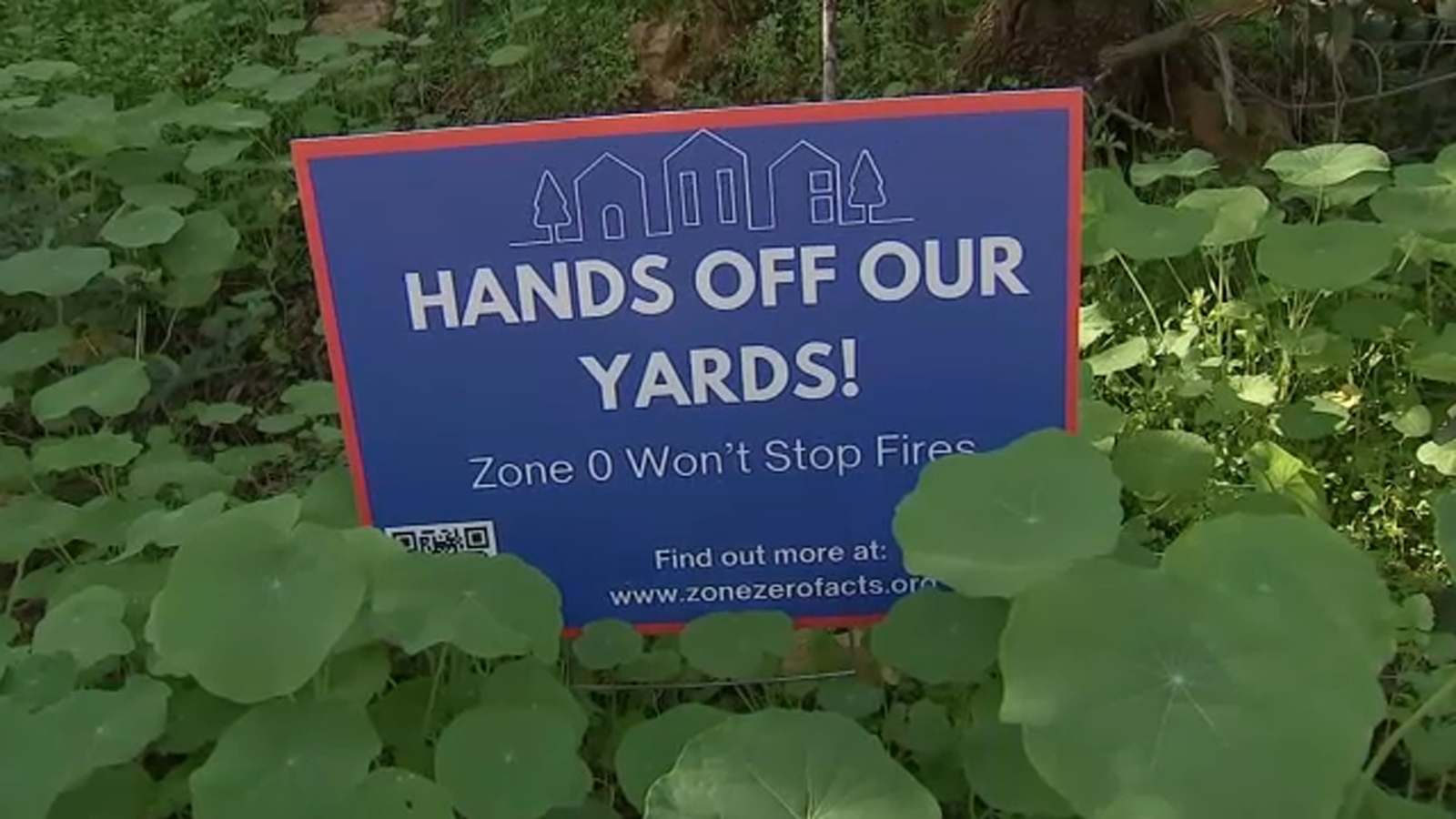 California's Zone Zero landscaping law limiting brush around homes sparks debate and concern amongst LA residents