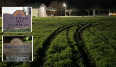 Fowler Creek and Mount Pleasant parks in San Jose could need more than $10,000 in repairs after vandal ruins grass
