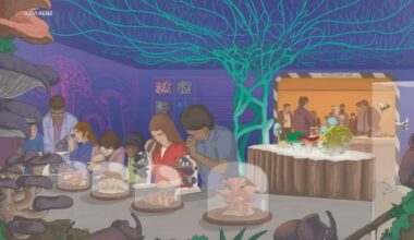 Tear down San Francisco Zoo? New EcoPark proposal ignites debate in SF on how to future-proof an outdated zoo plagued by problems