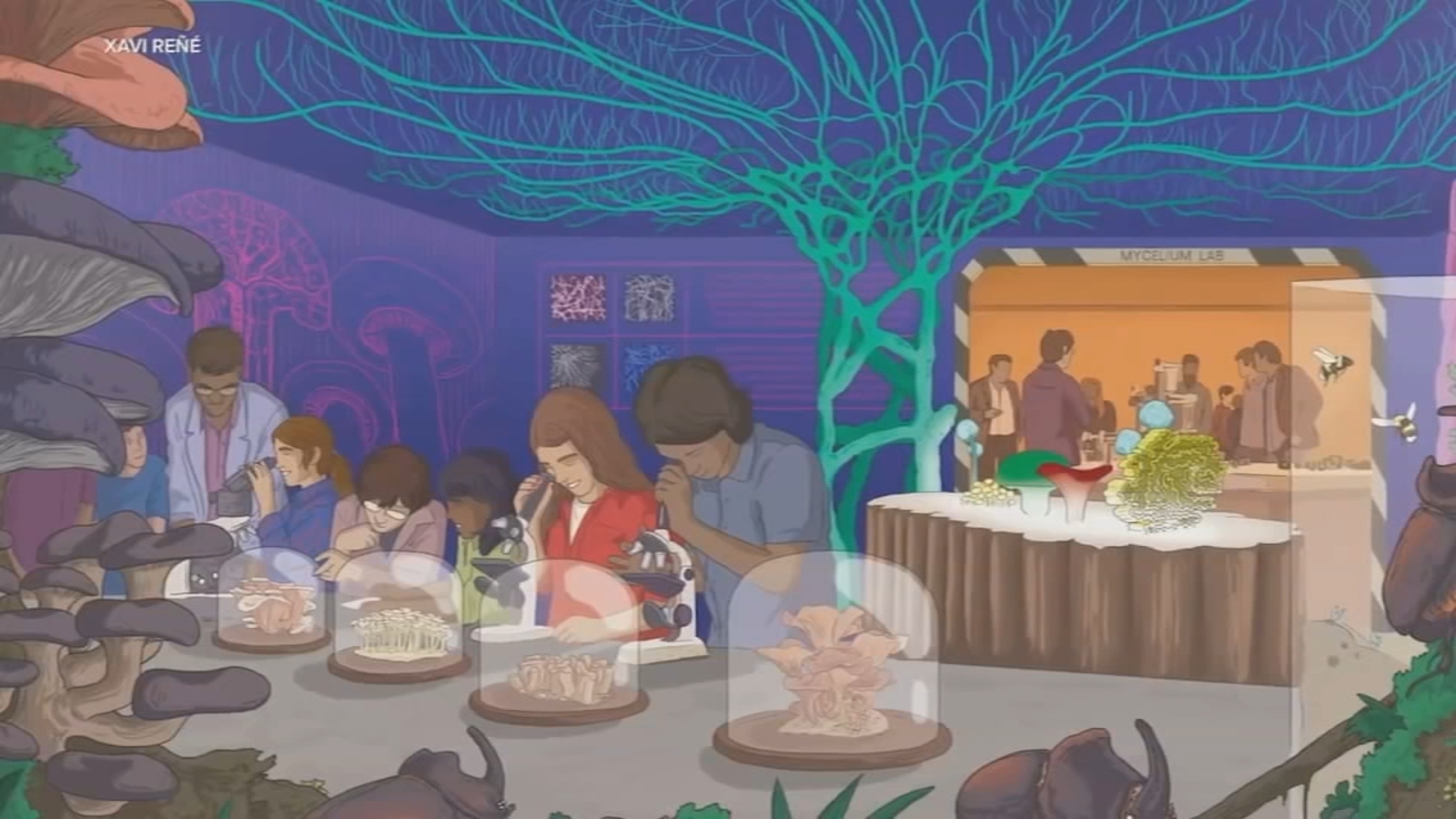 Tear down San Francisco Zoo? New EcoPark proposal ignites debate in SF on how to future-proof an outdated zoo plagued by problems