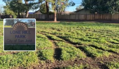 Lone Hill Park vandalized, marking third in San Jose in a week; repairs estimated to cost thousands