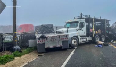 Multiple trucks crash on Hwy 43 causing closure in foggy conditions