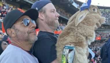 Legacy of SF celebrity therapy bunny 'Alex the Great' lives on as a new cafe for petting rescue bunnies open in San Francisco