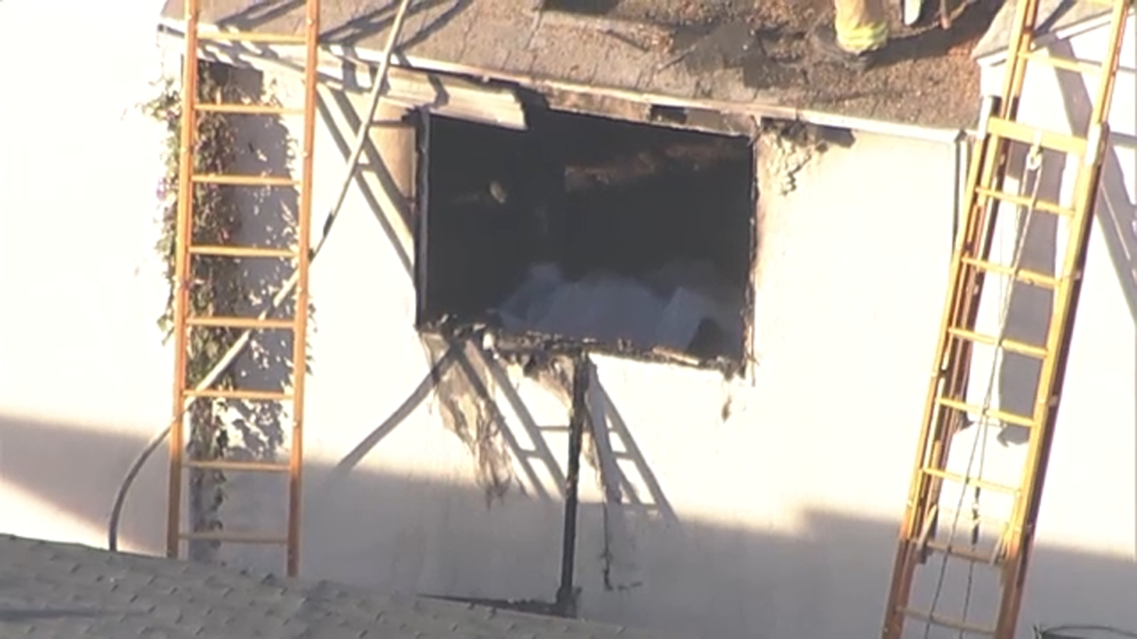 53-year-old man and dog killed in East Hollywood house fire, Los Angeles Fire Department says