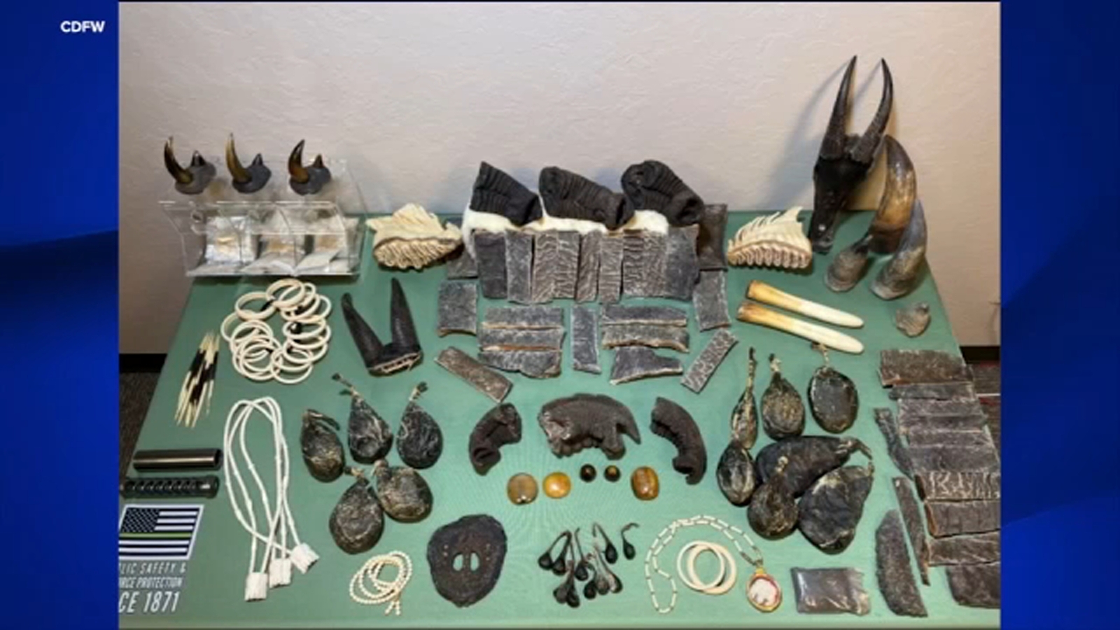 3 arrested for wildlife parts trafficking following state-wide investigation