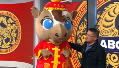 Year of the Fire Horse: Meet 2026 San Francisco Chinese New Year Parade mascot, Maverick