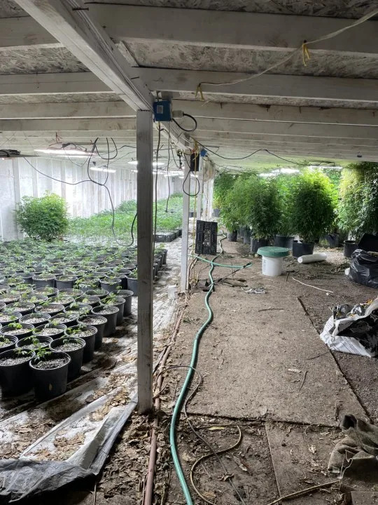 Photo courtesy of the Bakersfield Police Department