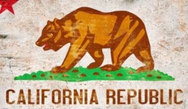 California flag