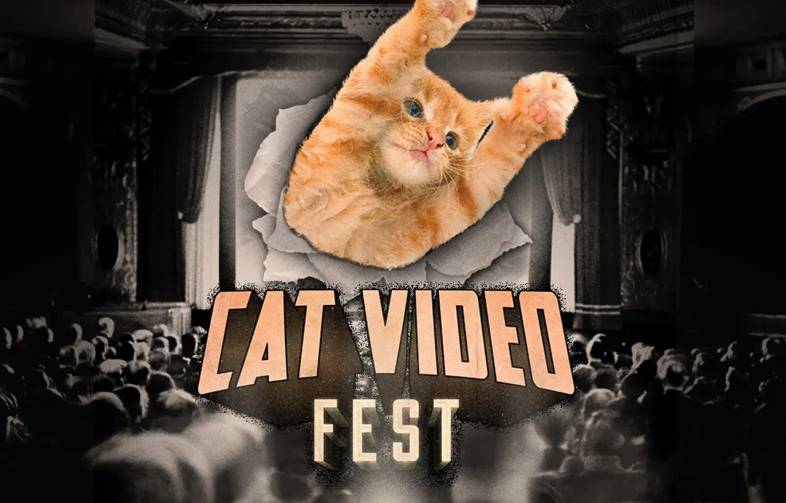 NHM Movie Night: CatVideoFest | Discover Los Angeles