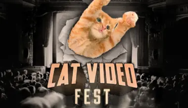 NHM Movie Night: CatVideoFest | Discover Los Angeles