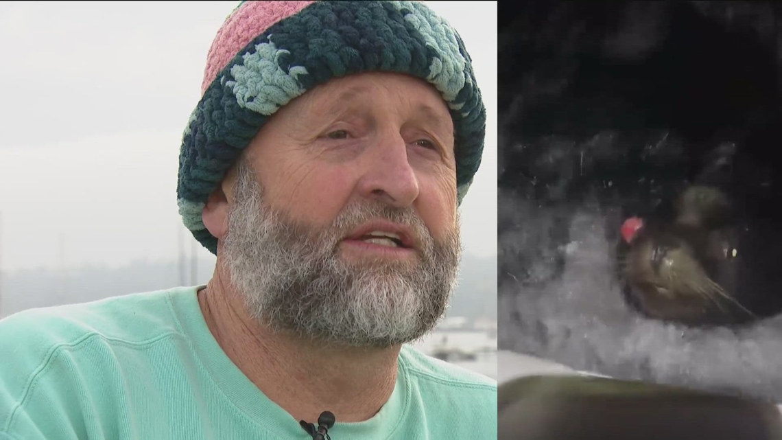 An unlikely friendship | Lobster fisherman tries to help injured sea lion in San Diego Bay