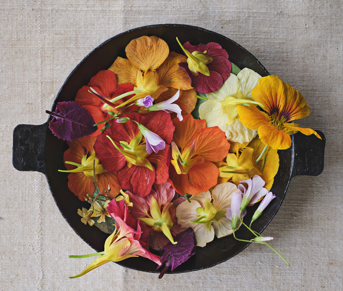 Noma summer cucumber salad