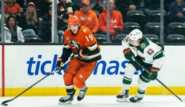Ducks lose fifth in a row, take stock at season's halfway point