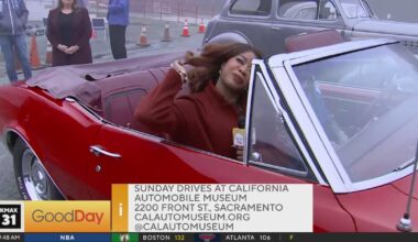 Sade Steers to Sunday Drives