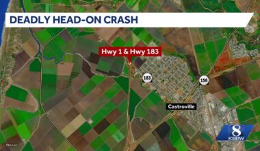 Woman killed after head-on crash in California identified