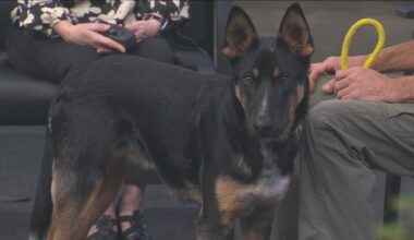 Yahoo lifestyle home